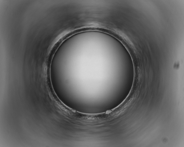 X0000100381318200806061209