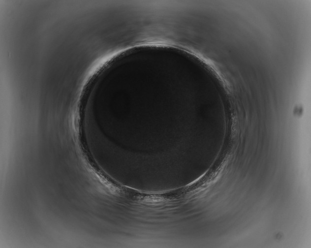 X0000100381319200806061209