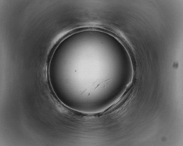 X0000100381320200806061209