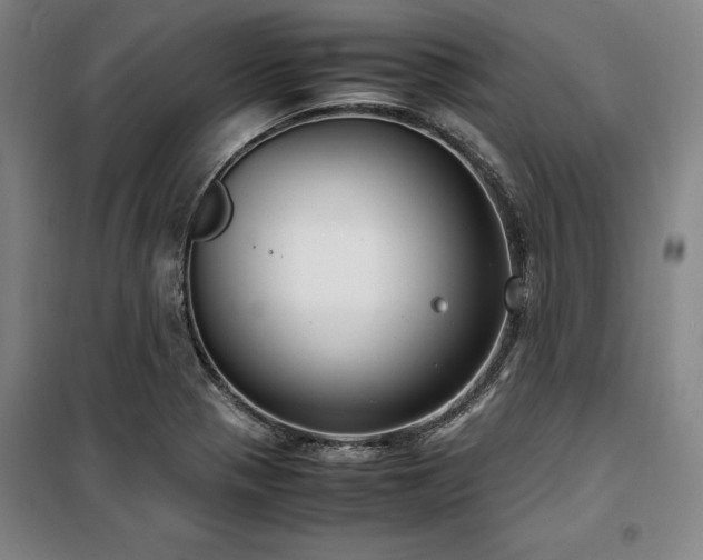 X0000100381321200806061209
