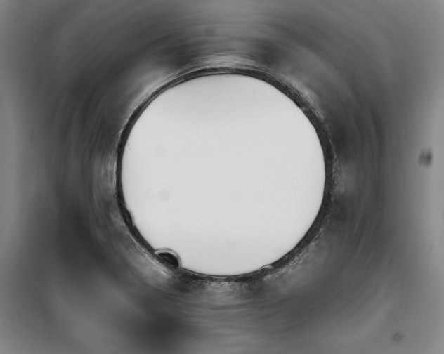 X0000100381322200806061209