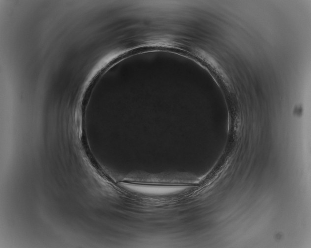 X0000100381323200806061209
