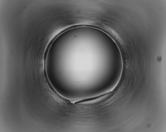 X0000100381324200806061209