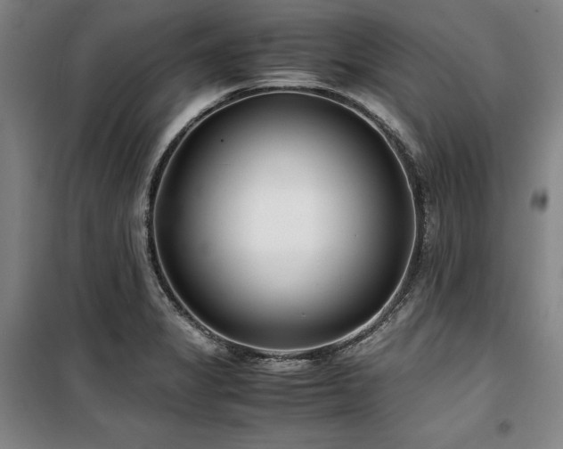 X0000100381325200806061209
