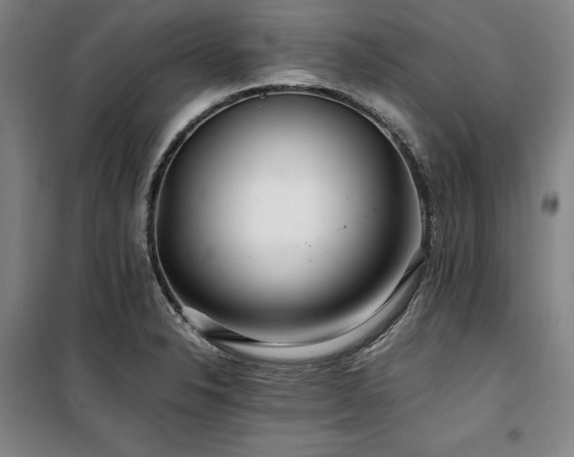X0000100381326200806061209