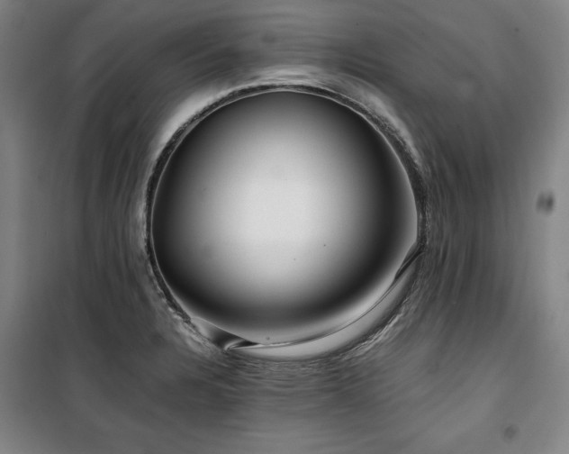 X0000100381328200806061210