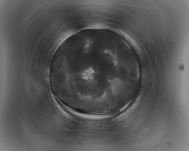 X0000100381329200806061210