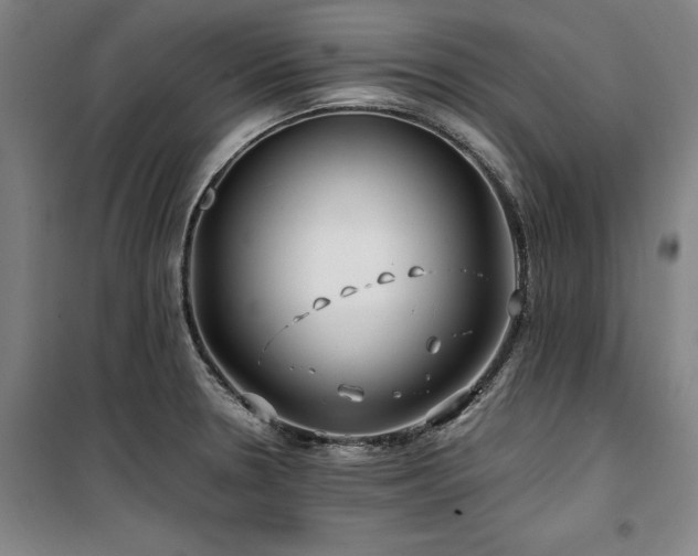 X0000100381330200806061210