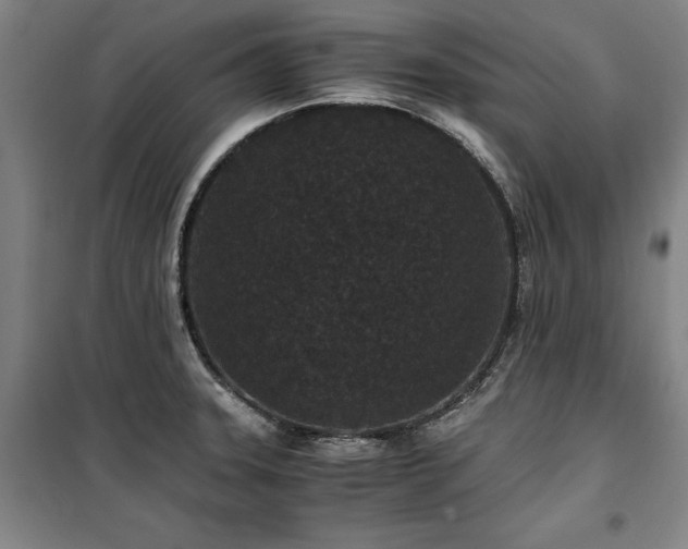 X0000100381331200806061210