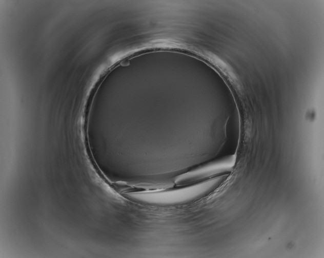X0000100381334200806061210