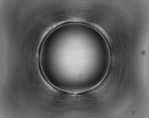X0000100381335200806061210