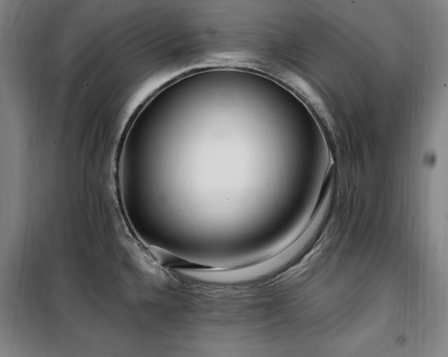 X0000100381336200806061210