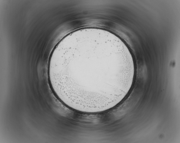 X0000100381338200806061210