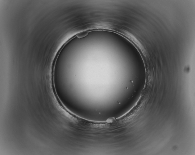 X0000100381339200806061210