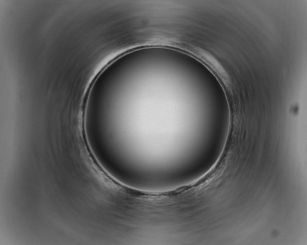 X0000100381340200806061210