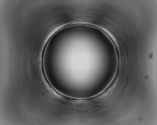 X0000100381341200806061210