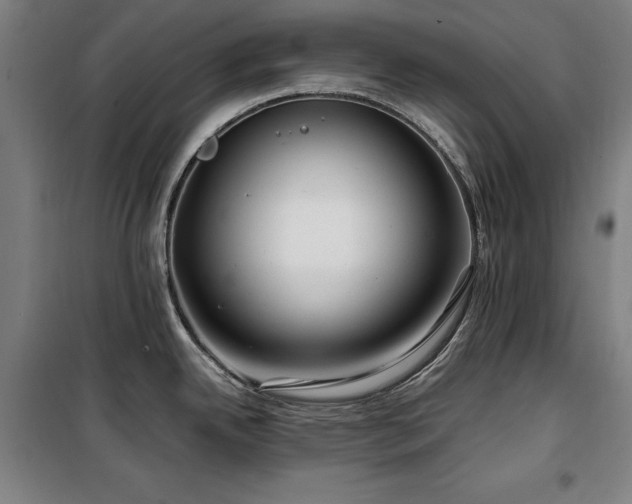 X0000100381342200806061210