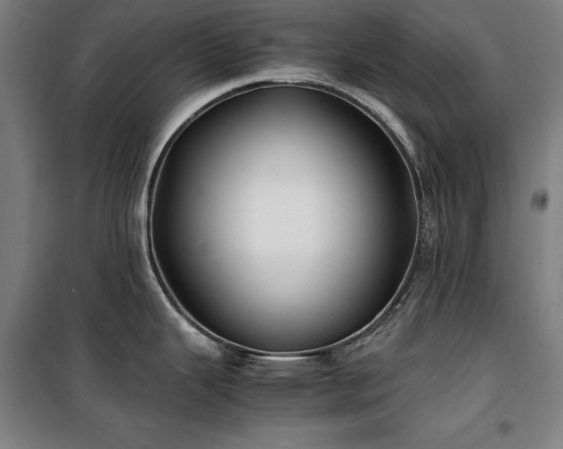 X0000100381343200806061210