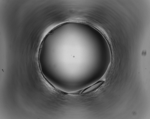 X0000100381344200806061210