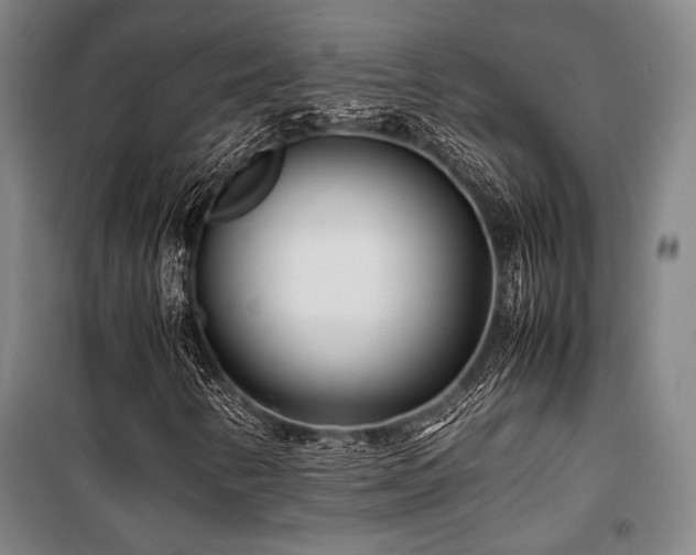 X0000100381346200806061209
