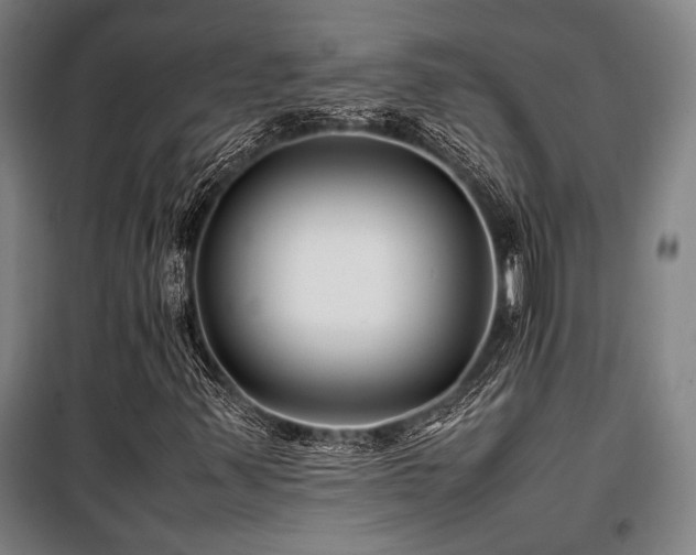X0000100381347200806061209