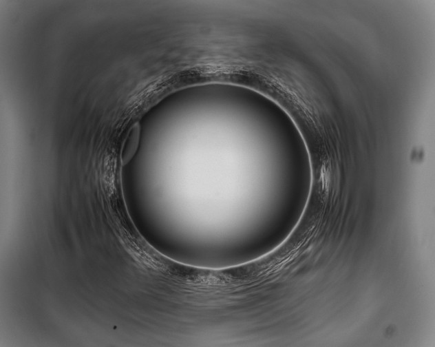 X0000100381348200806061209