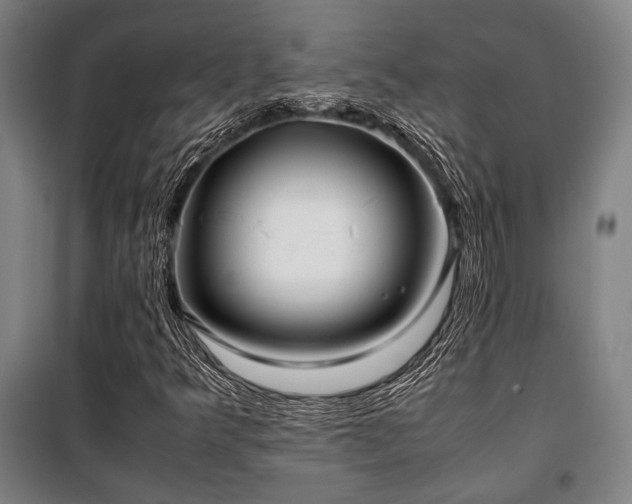 X0000100381349200806061209