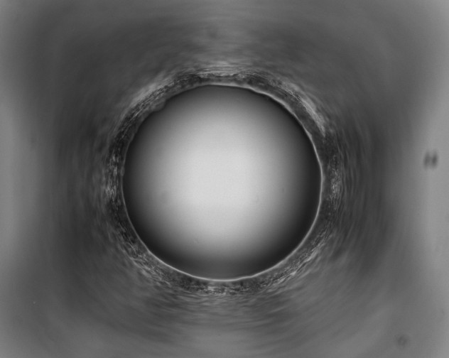 X0000100381350200806061209