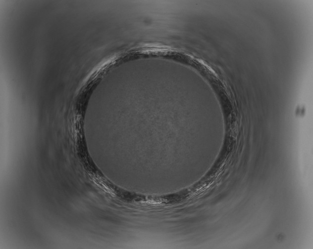 X0000100381351200806061209
