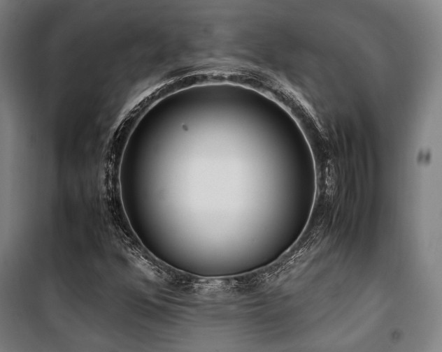 X0000100381352200806061209