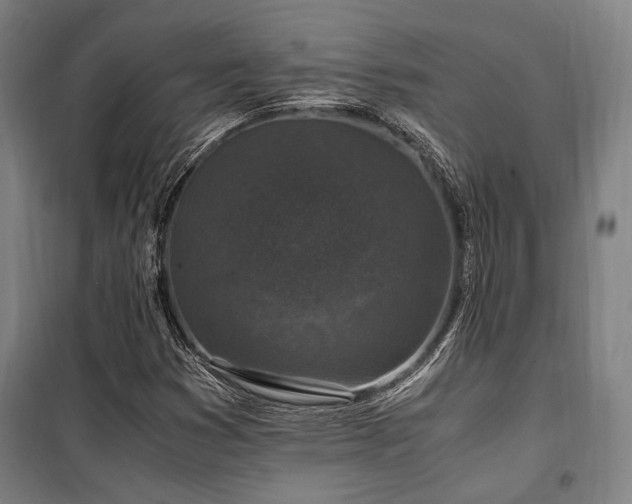 X0000100381353200806061209