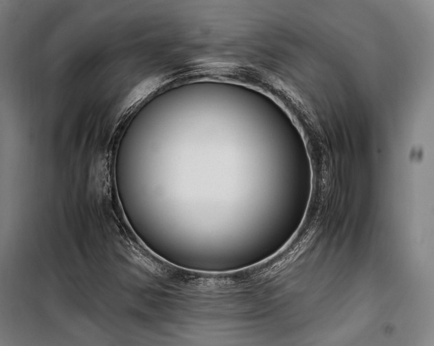 X0000100381354200806061209