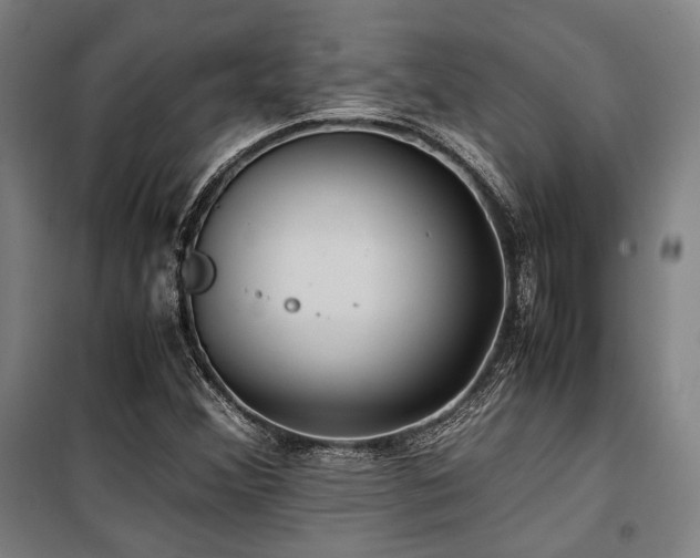 X0000100381356200806061209