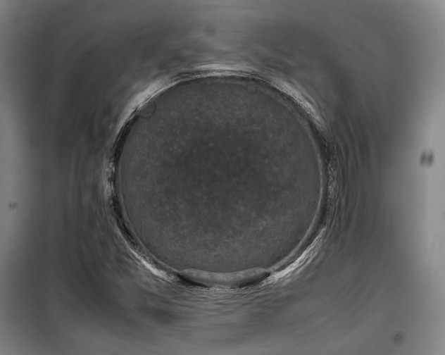 X0000100381357200806061209
