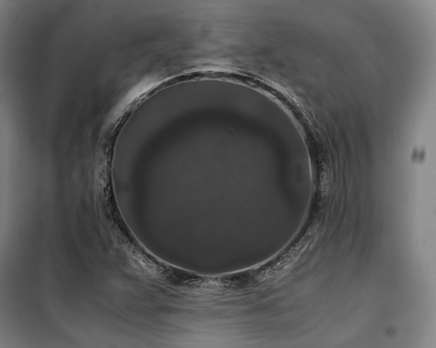 X0000100381359200806061209