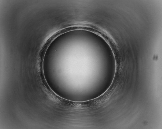 X0000100381360200806061209