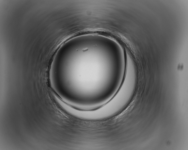 X0000100381361200806061209