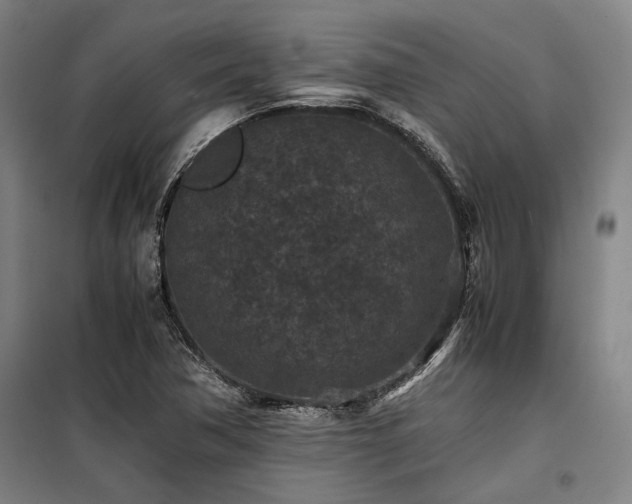 X0000100381362200806061209