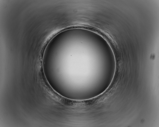X0000100381363200806061209