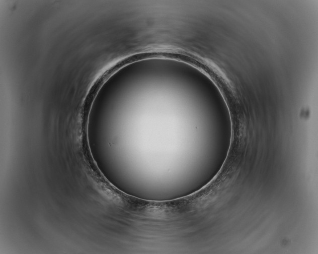 X0000100381364200806061209