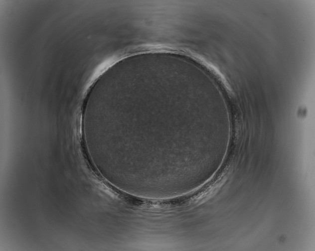 X0000100381365200806061209