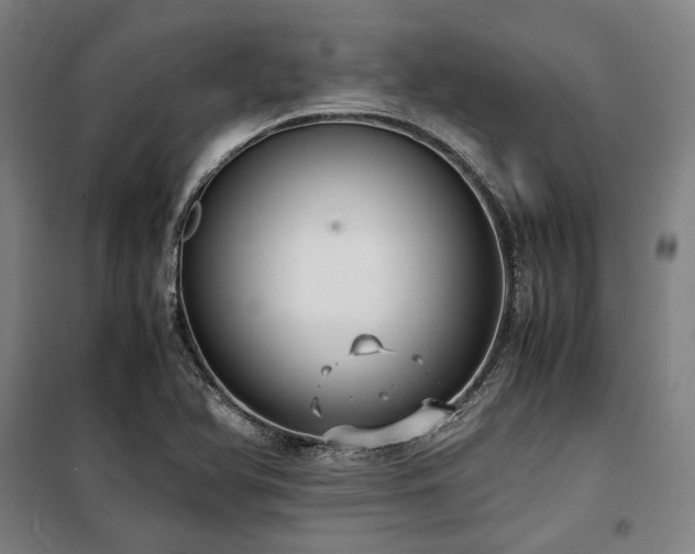 X0000100381366200806061209