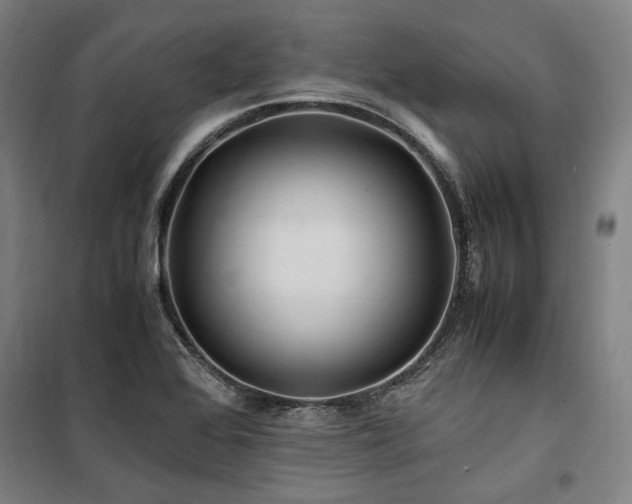 X0000100381368200806061209