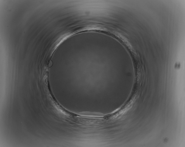 X0000100381369200806061208