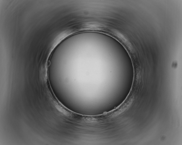 X0000100381370200806061208