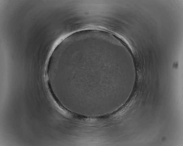 X0000100381371200806061208