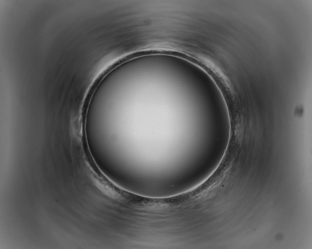 X0000100381372200806061208