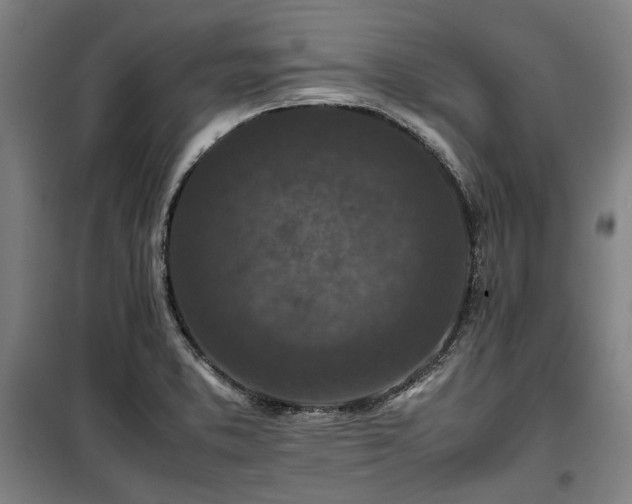 X0000100381373200806061208