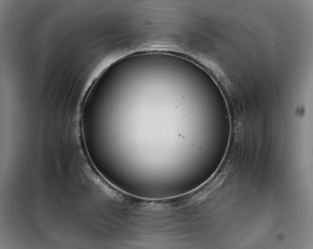 X0000100381374200806061208