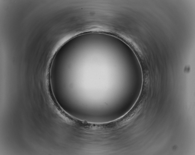 X0000100381375200806061208